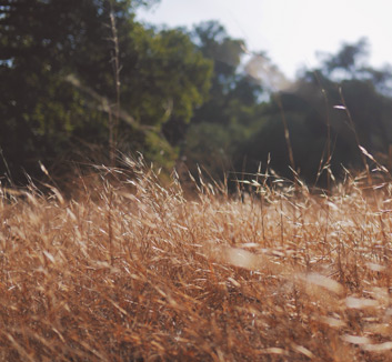 挑战底线：女足进攻策略精准无误